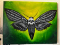 Osteo-Moth